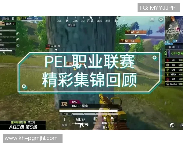 和平精英战术RNG中路突破体系解析与实战应用探讨