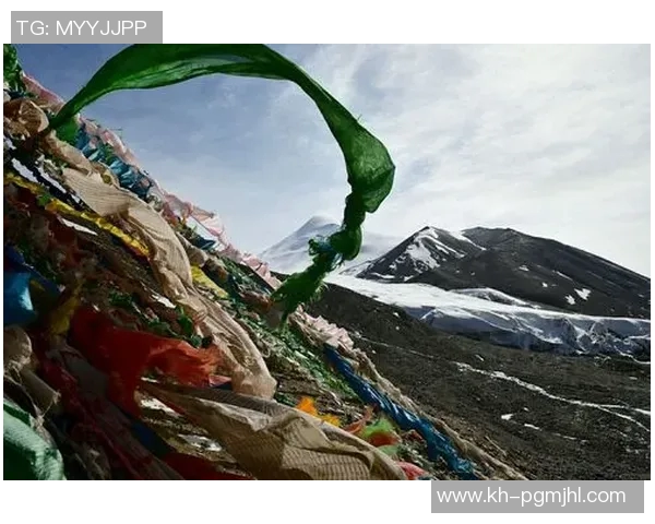 吴伟回顾DOTA2职业生涯的辉煌与挑战分享